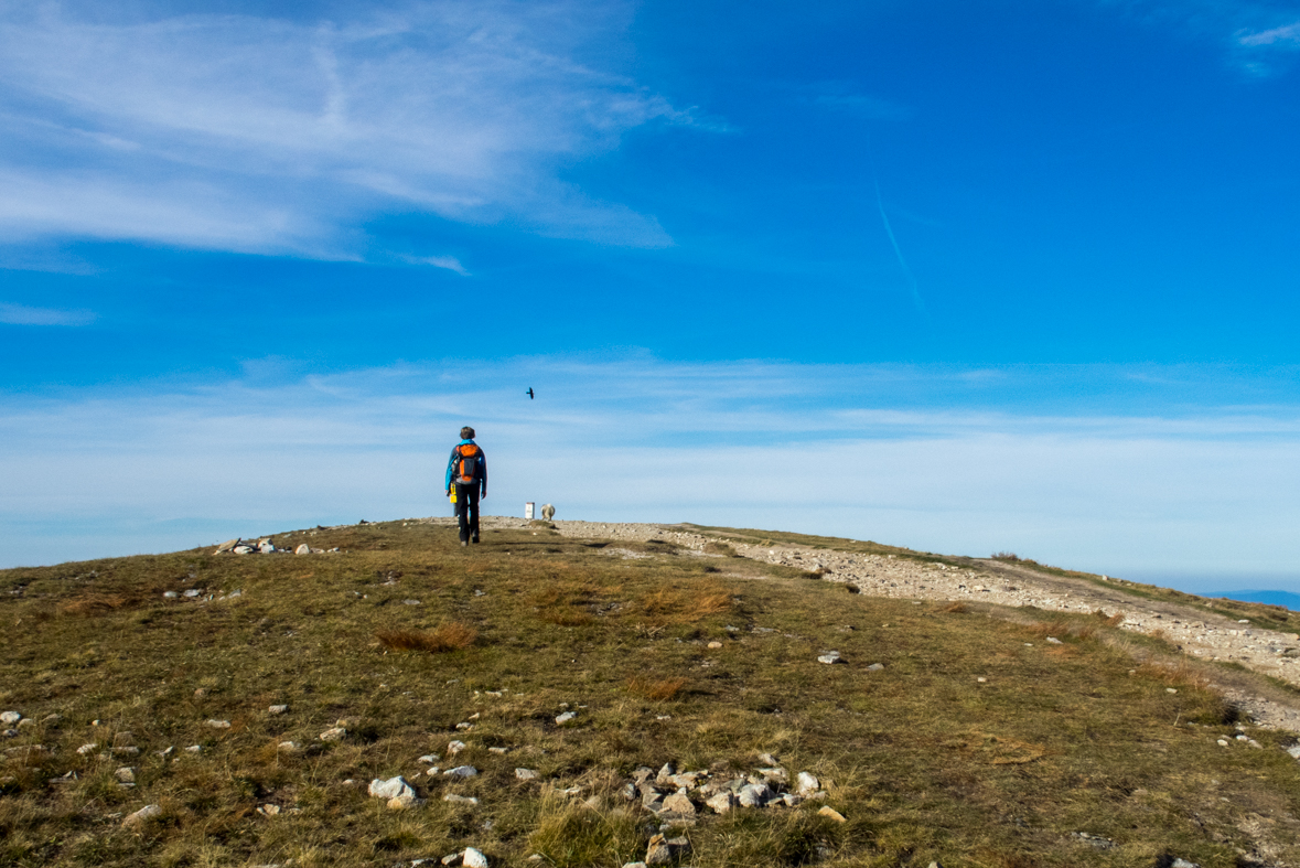 Volovec z chaty Zverovka (Západné Tatry)