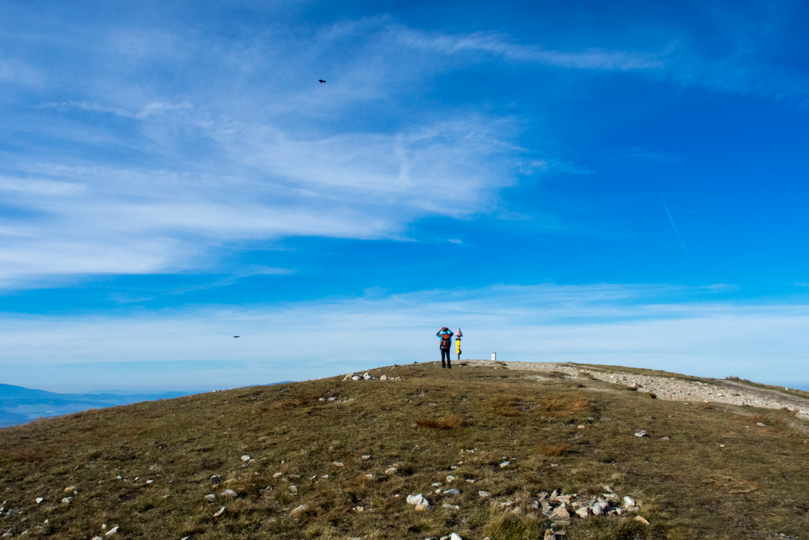 Volovec z chaty Zverovka (Západné Tatry)