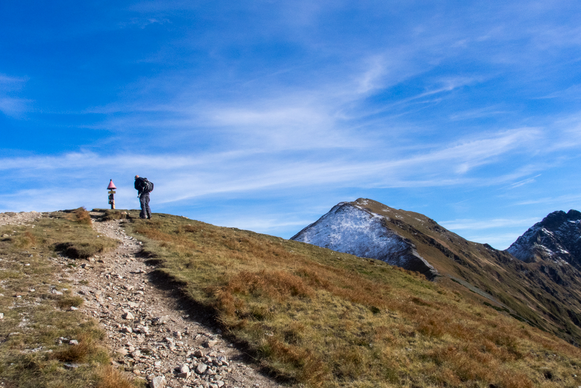 Volovec z chaty Zverovka (Západné Tatry)