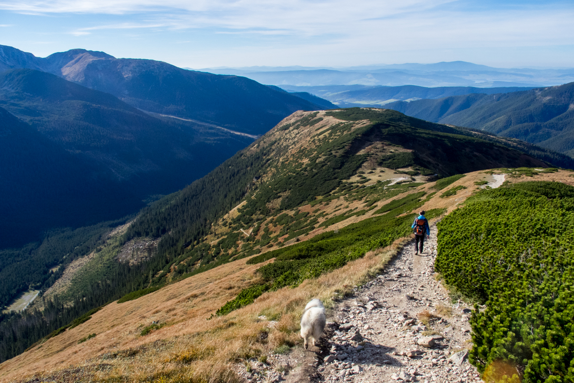 Volovec z chaty Zverovka (Západné Tatry)