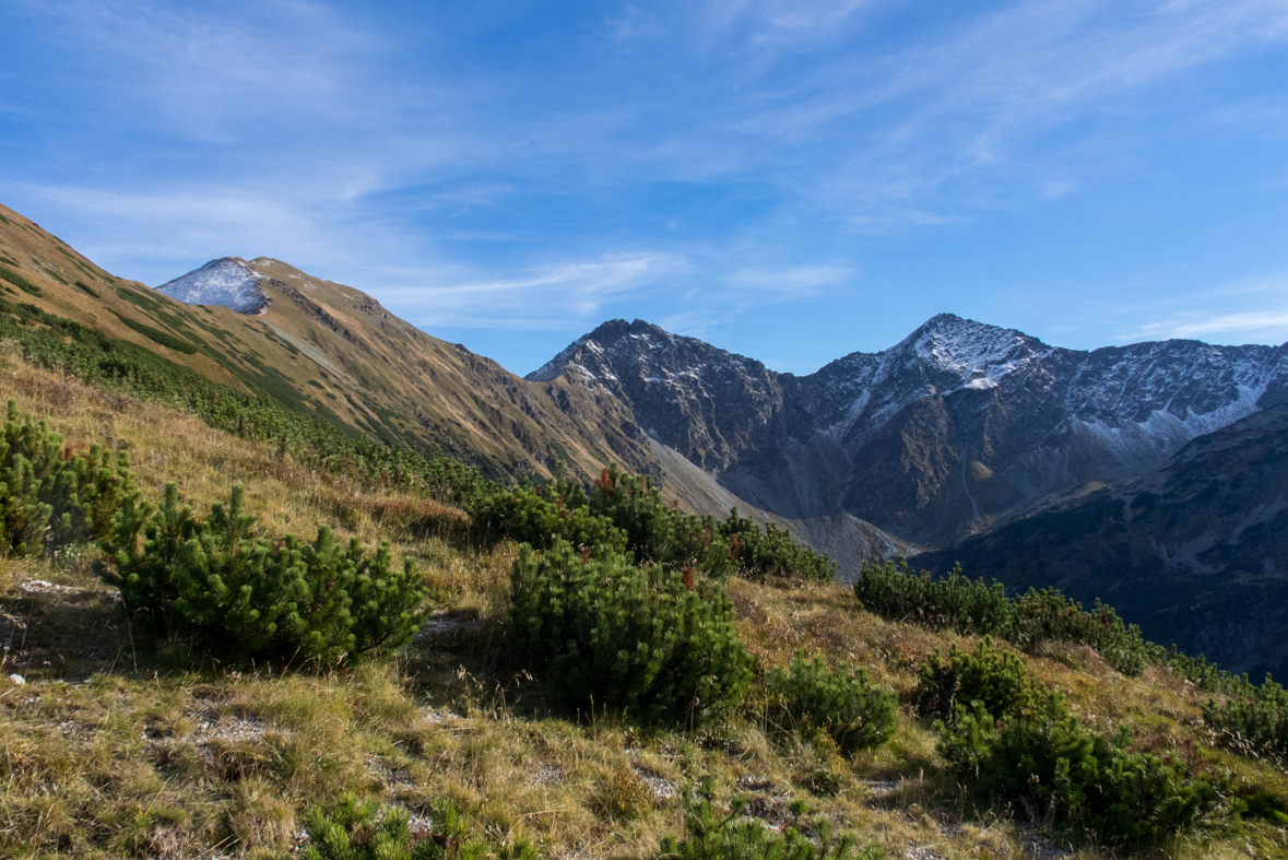 Volovec z chaty Zverovka (Západné Tatry)