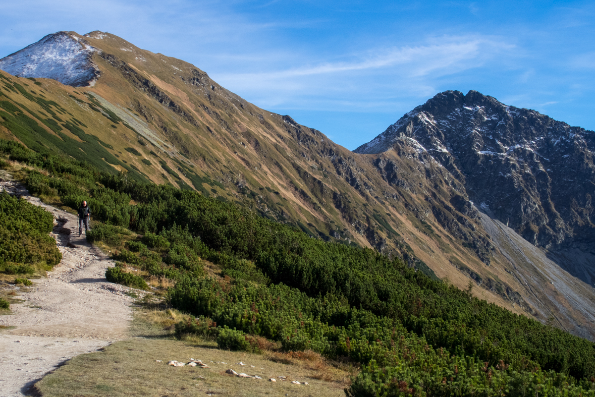 Volovec z chaty Zverovka (Západné Tatry)