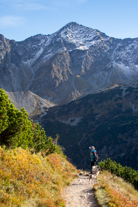 Volovec z chaty Zverovka (Západné Tatry)