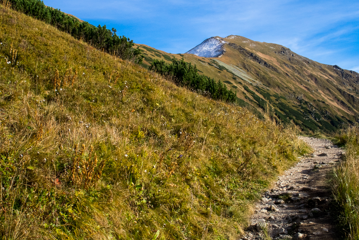 Volovec z chaty Zverovka (Západné Tatry)