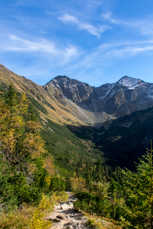 Volovec z chaty Zverovka (Západné Tatry)