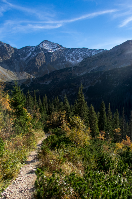 Volovec z chaty Zverovka (Západné Tatry)