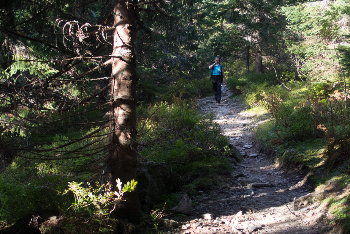 Volovec z chaty Zverovka (Západné Tatry)