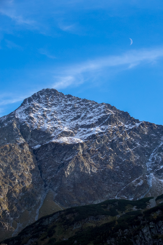 Volovec z chaty Zverovka (Západné Tatry)