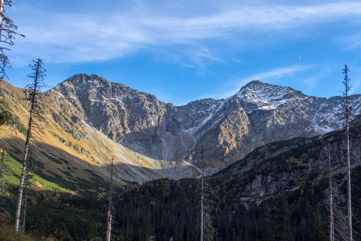 Volovec z chaty Zverovka (Západné Tatry)