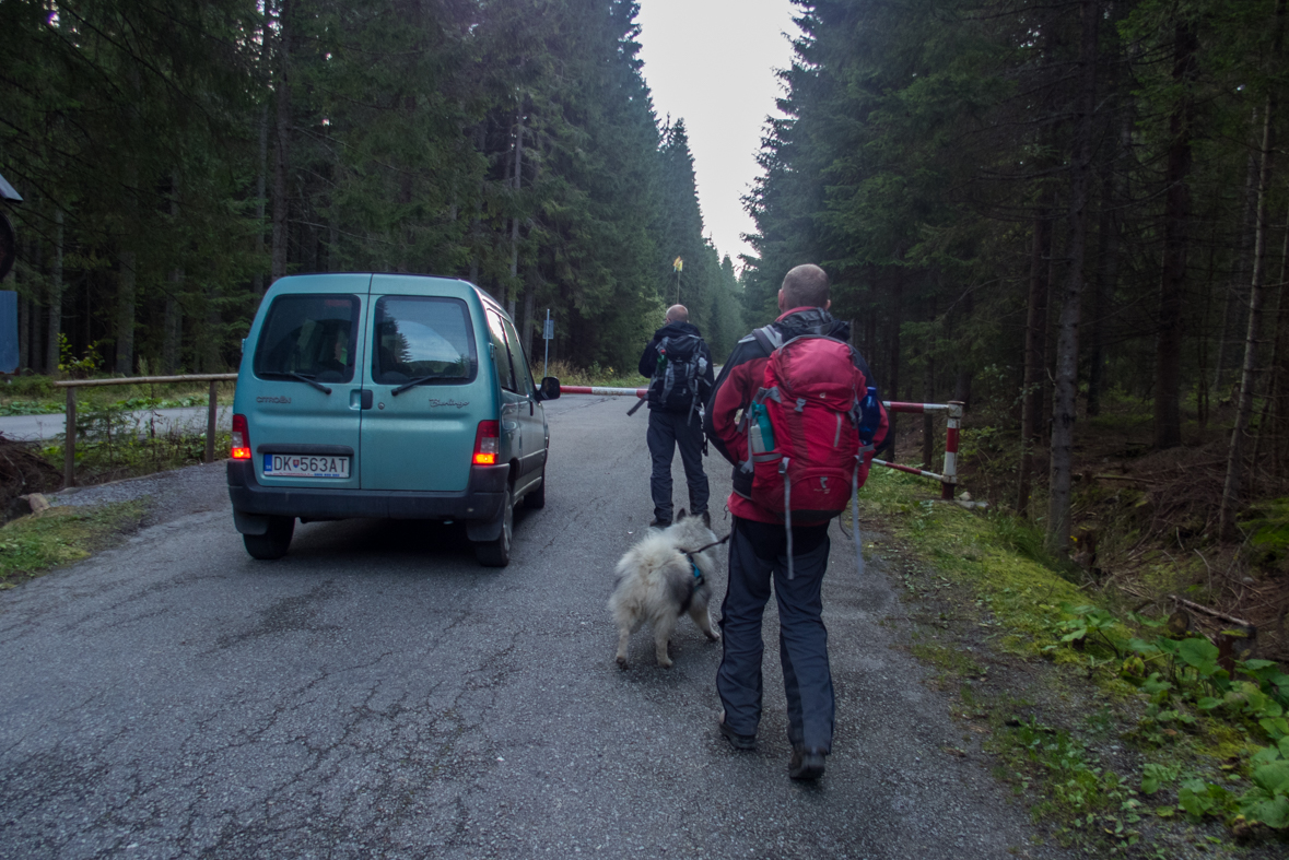 Volovec z chaty Zverovka (Západné Tatry)