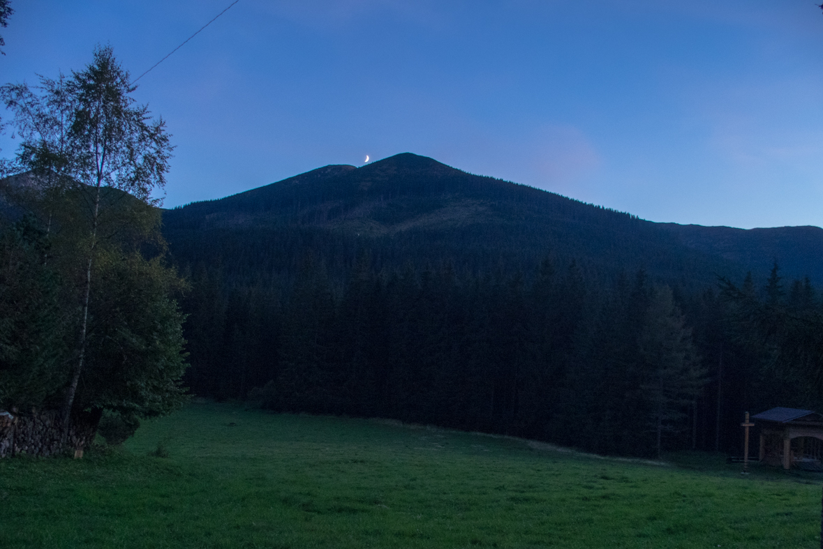 Volovec z chaty Zverovka (Západné Tatry)