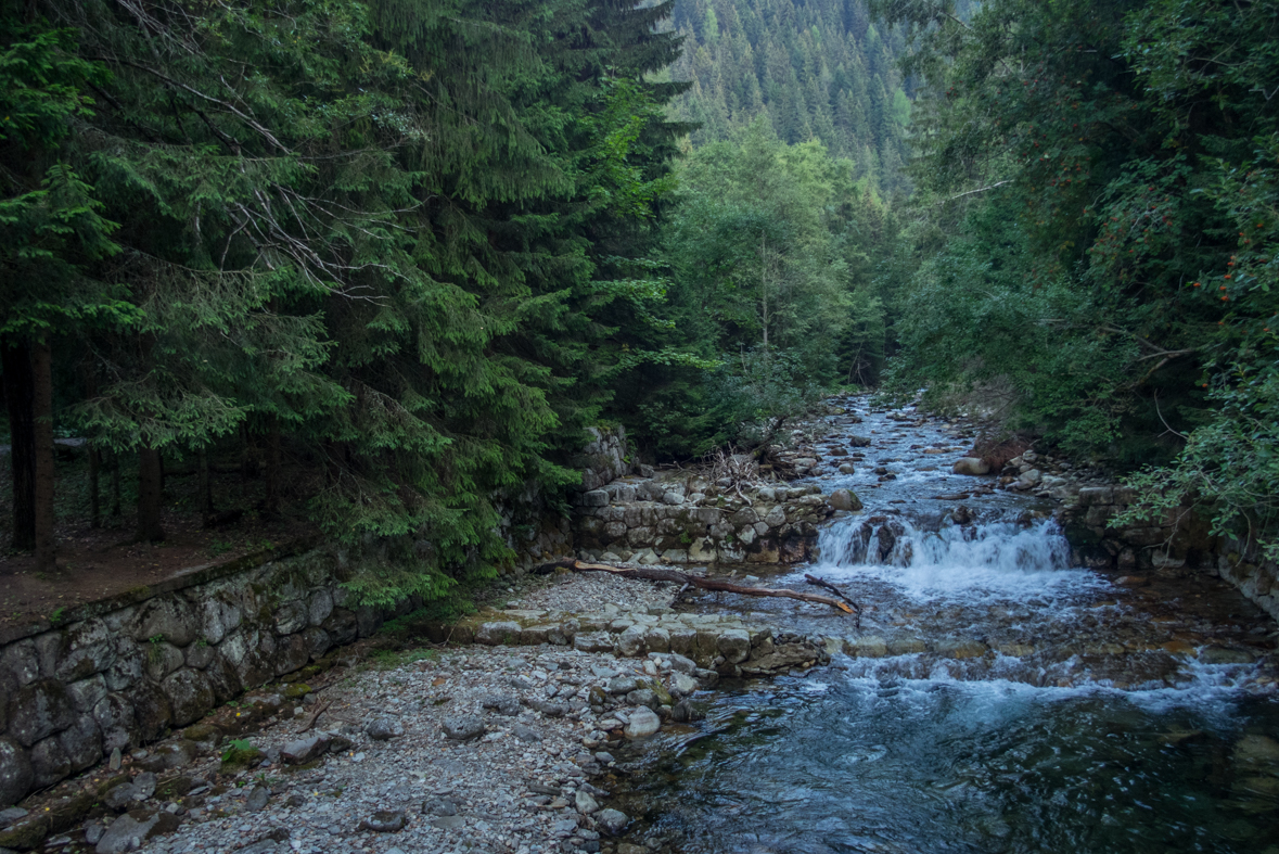 Baranec z Račkovej doliny, ATC (Západné Tatry)