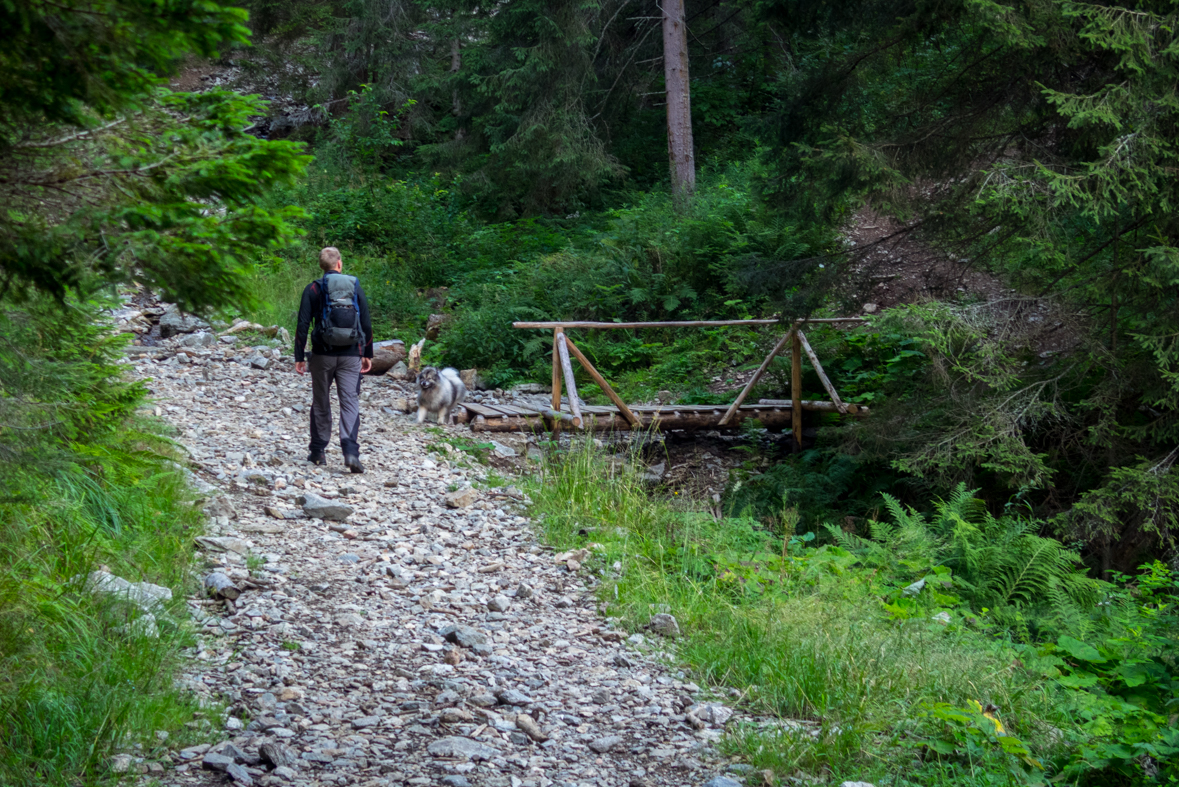 Baranec z Račkovej doliny, ATC (Západné Tatry)