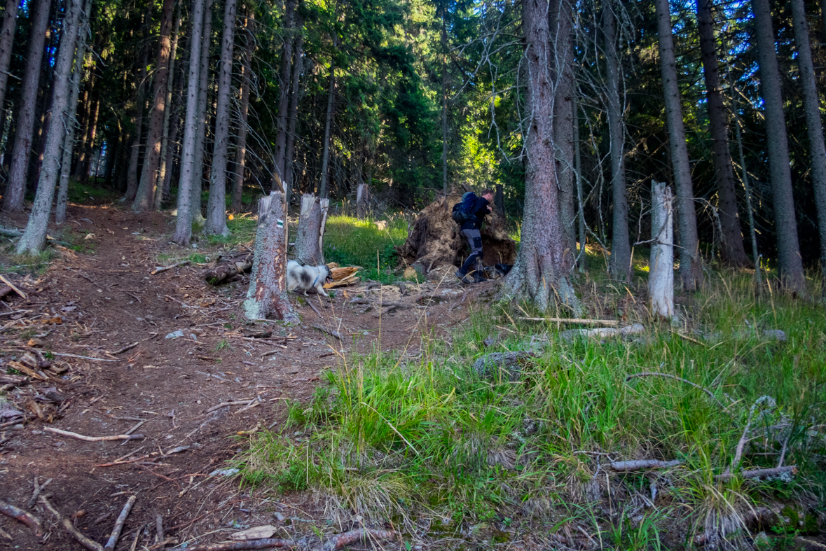 Baranec z Račkovej doliny, ATC (Západné Tatry)