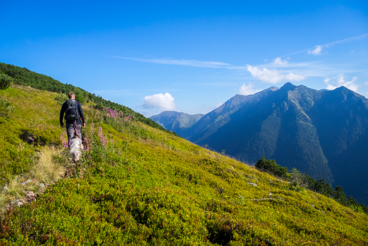 Baranec z Račkovej doliny, ATC (Západné Tatry)