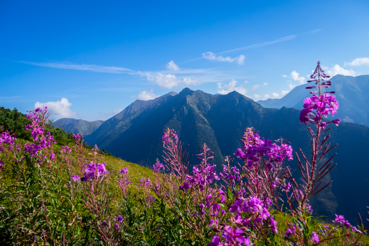 Baranec z Račkovej doliny, ATC (Západné Tatry)