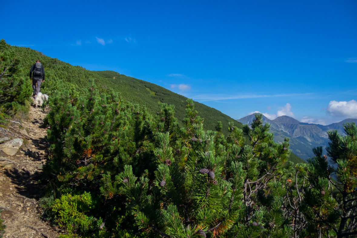 Baranec z Račkovej doliny, ATC (Západné Tatry)