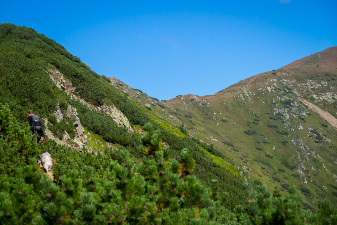 Baranec z Račkovej doliny, ATC (Západné Tatry)