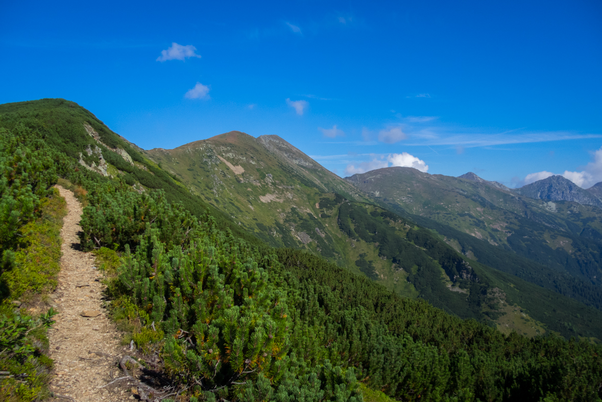 Baranec z Račkovej doliny, ATC (Západné Tatry)