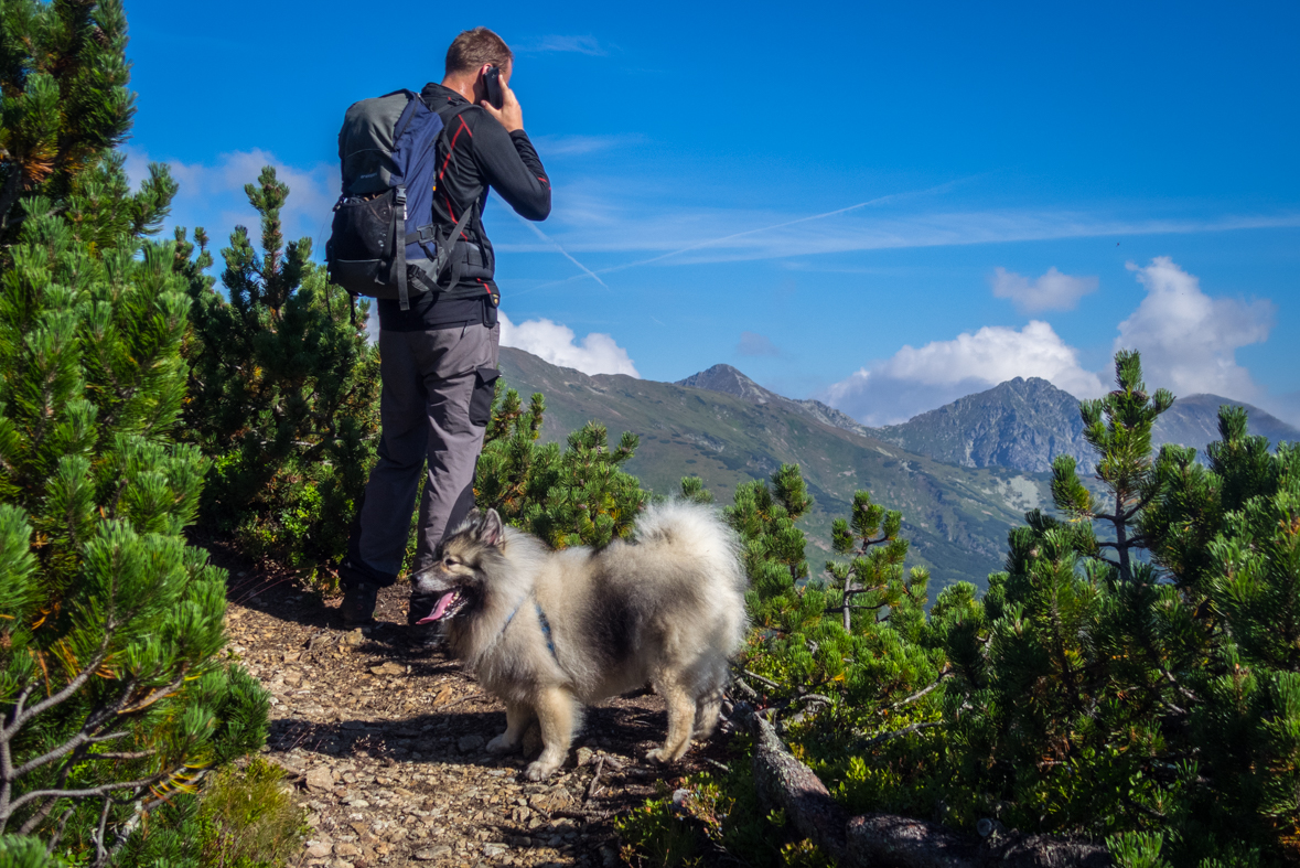 Baranec z Račkovej doliny, ATC (Západné Tatry)