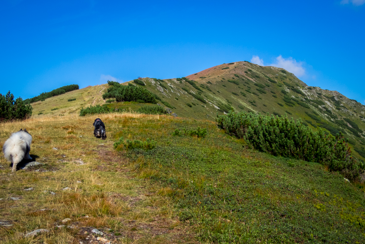 Baranec z Račkovej doliny, ATC (Západné Tatry)