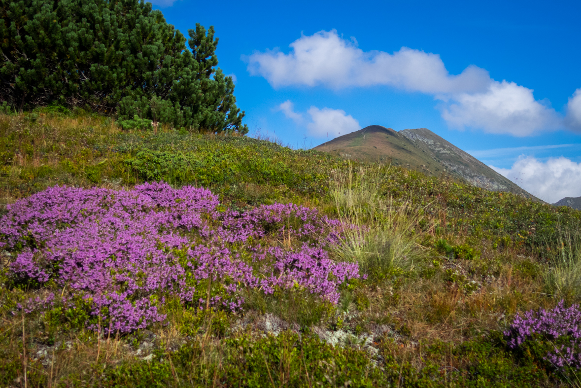 Baranec z Račkovej doliny, ATC (Západné Tatry)