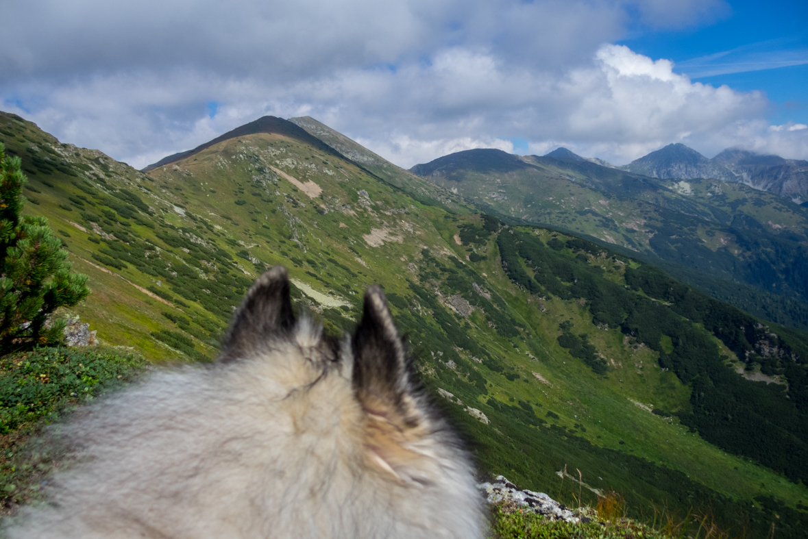 Baranec z Račkovej doliny, ATC (Západné Tatry)