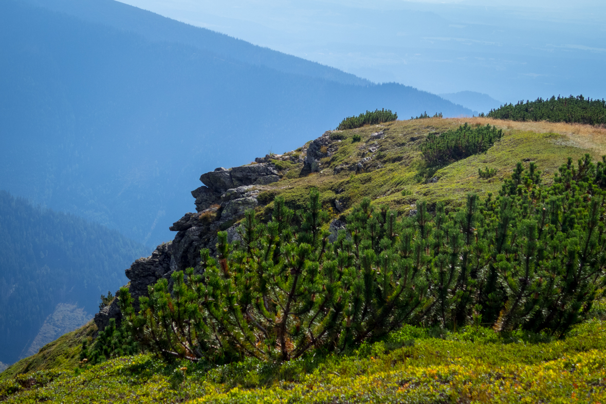 Baranec z Račkovej doliny, ATC (Západné Tatry)