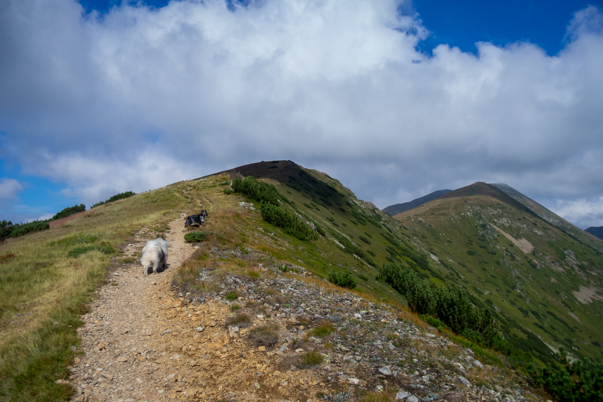 Baranec z Račkovej doliny, ATC (Západné Tatry)