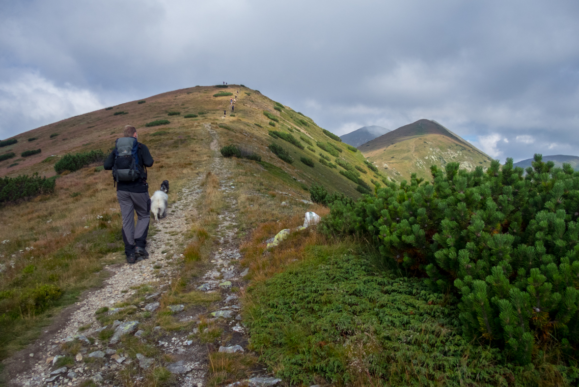 Baranec z Račkovej doliny, ATC (Západné Tatry)