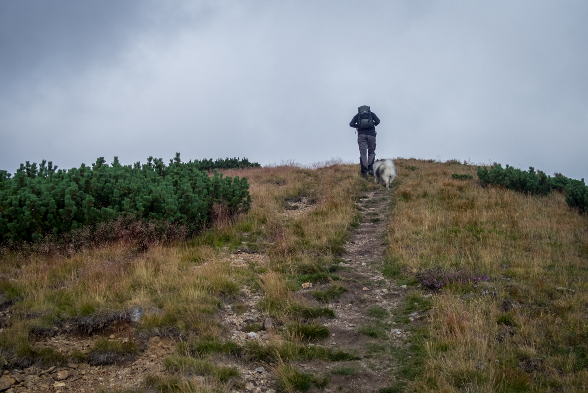 Baranec z Račkovej doliny, ATC (Západné Tatry)