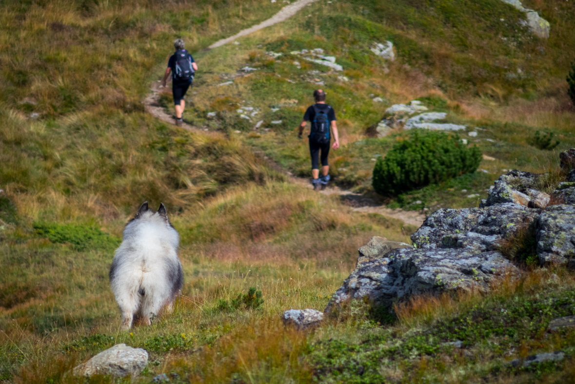 Baranec z Račkovej doliny, ATC (Západné Tatry)