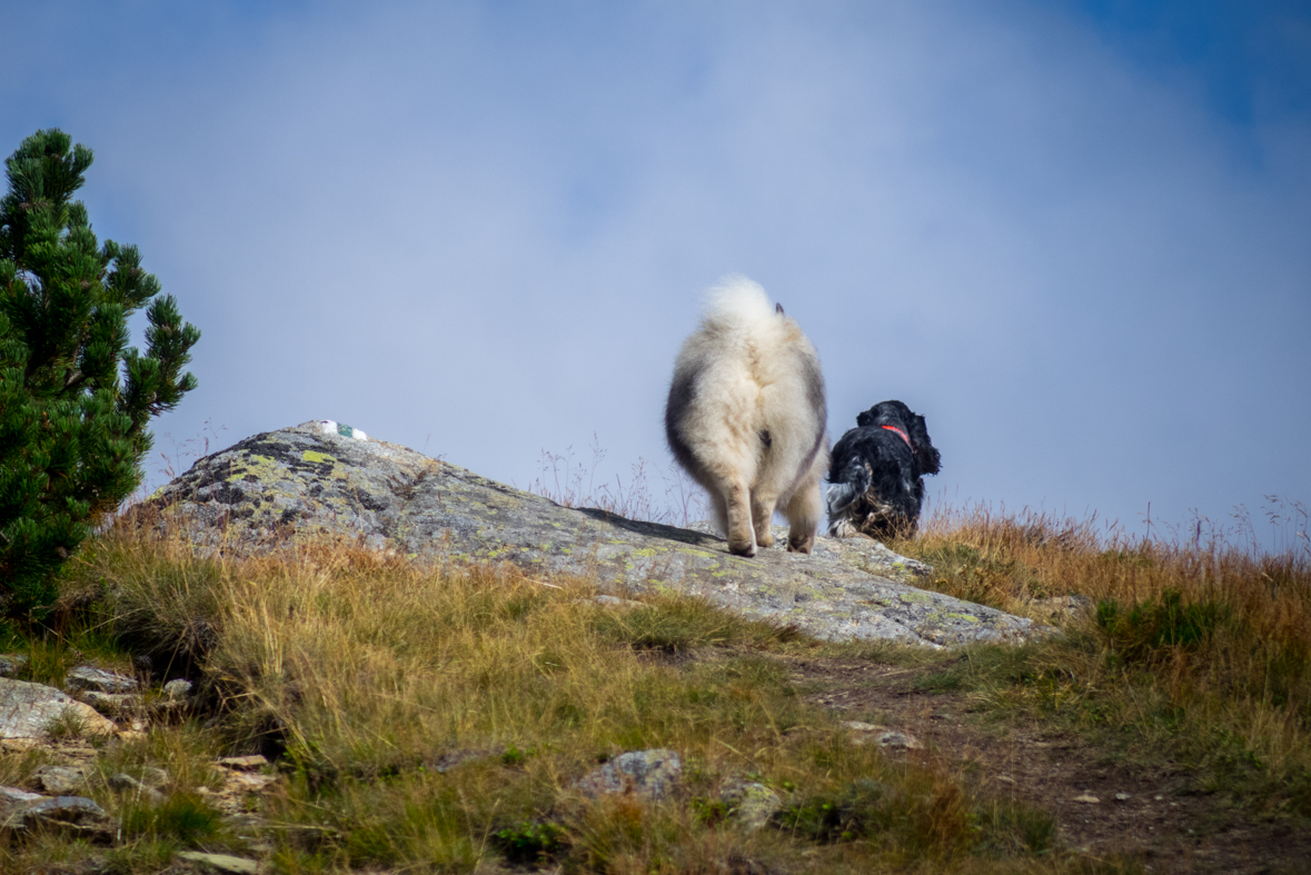 Baranec z Račkovej doliny, ATC (Západné Tatry)