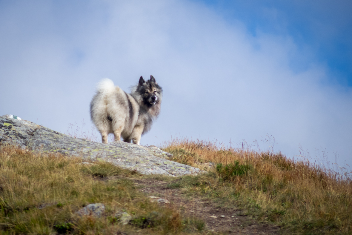 Baranec z Račkovej doliny, ATC (Západné Tatry)