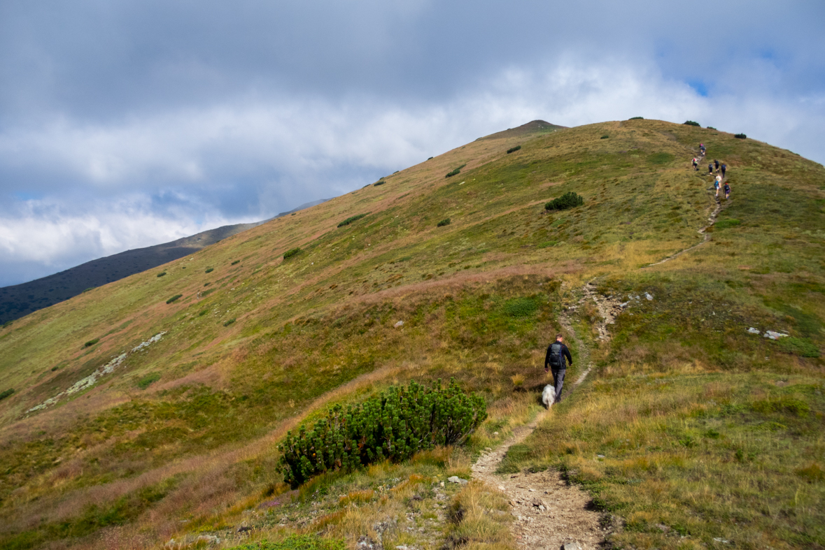 Baranec z Račkovej doliny, ATC (Západné Tatry)