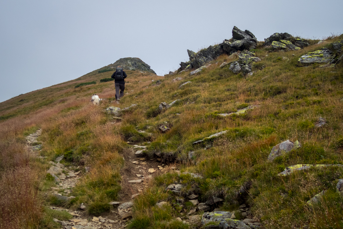 Baranec z Račkovej doliny, ATC (Západné Tatry)