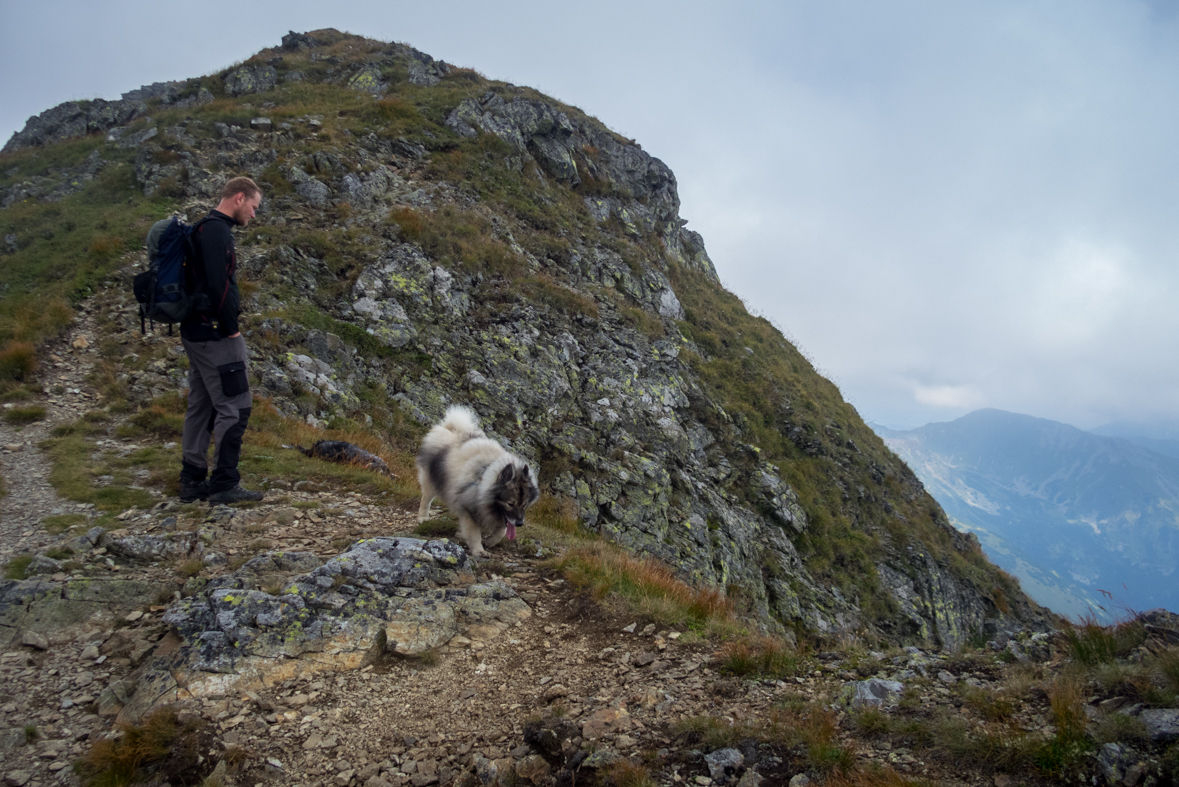 Baranec z Račkovej doliny, ATC (Západné Tatry)