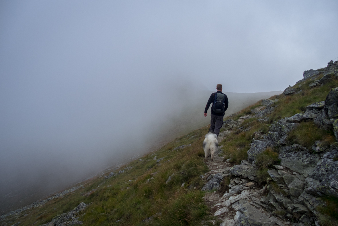 Baranec z Račkovej doliny, ATC (Západné Tatry)