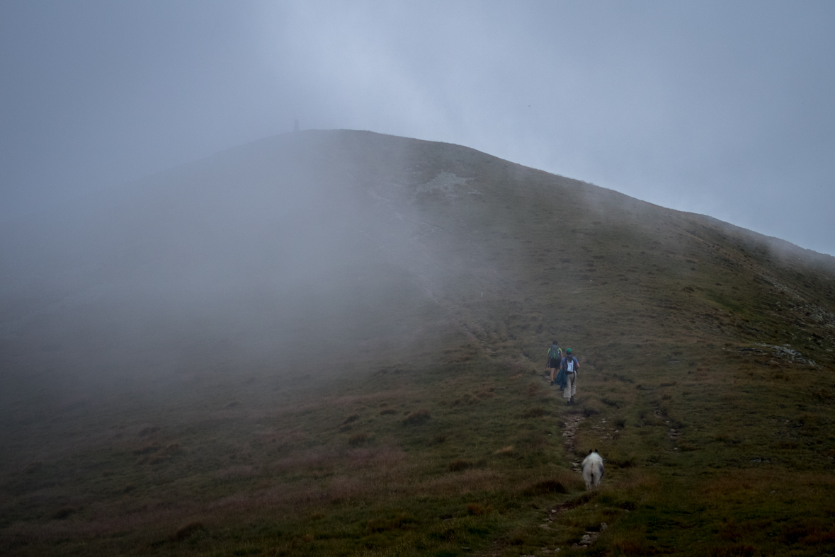 Baranec z Račkovej doliny, ATC (Západné Tatry)