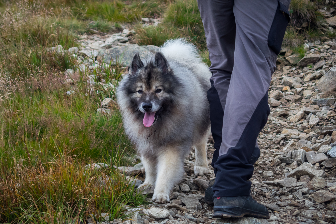 Baranec z Račkovej doliny, ATC (Západné Tatry)