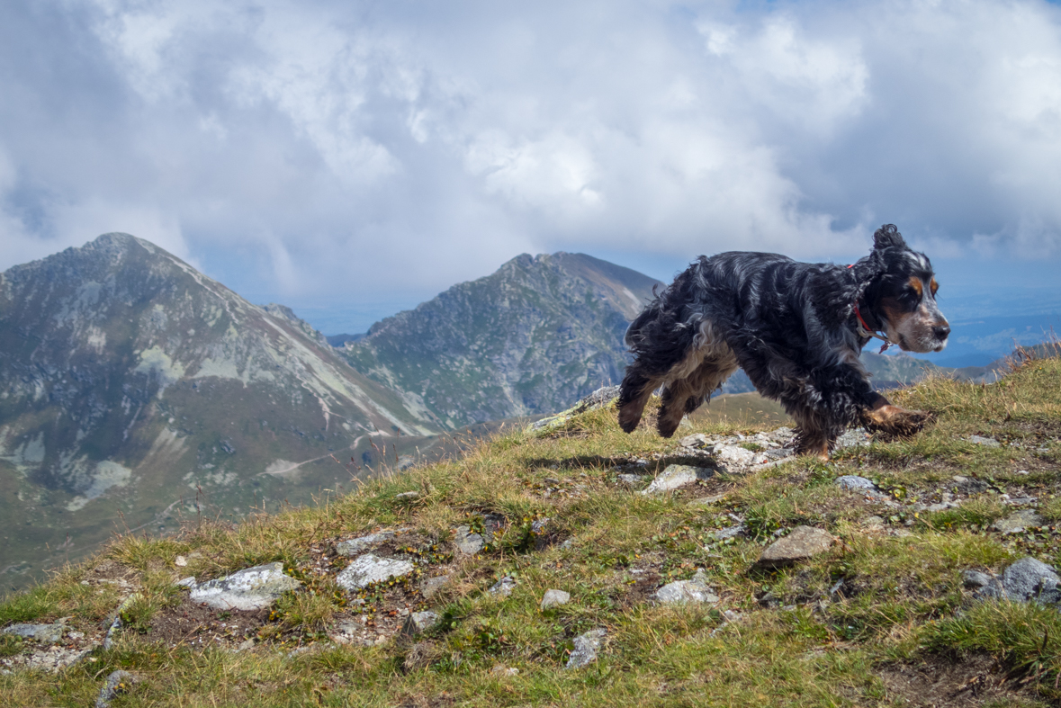 Baranec z Račkovej doliny, ATC (Západné Tatry)