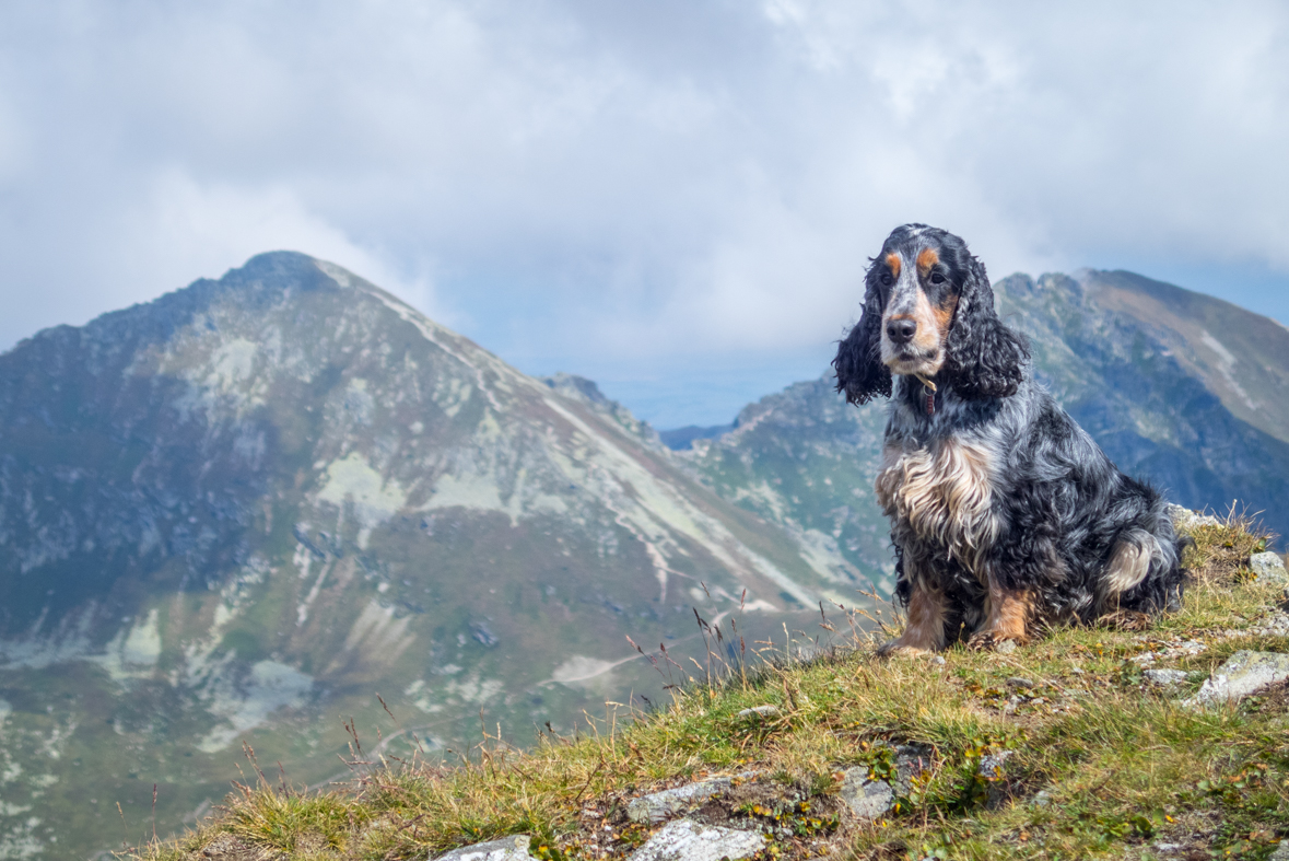 Baranec z Račkovej doliny, ATC (Západné Tatry)