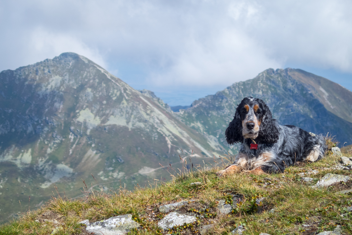 Baranec z Račkovej doliny, ATC (Západné Tatry)