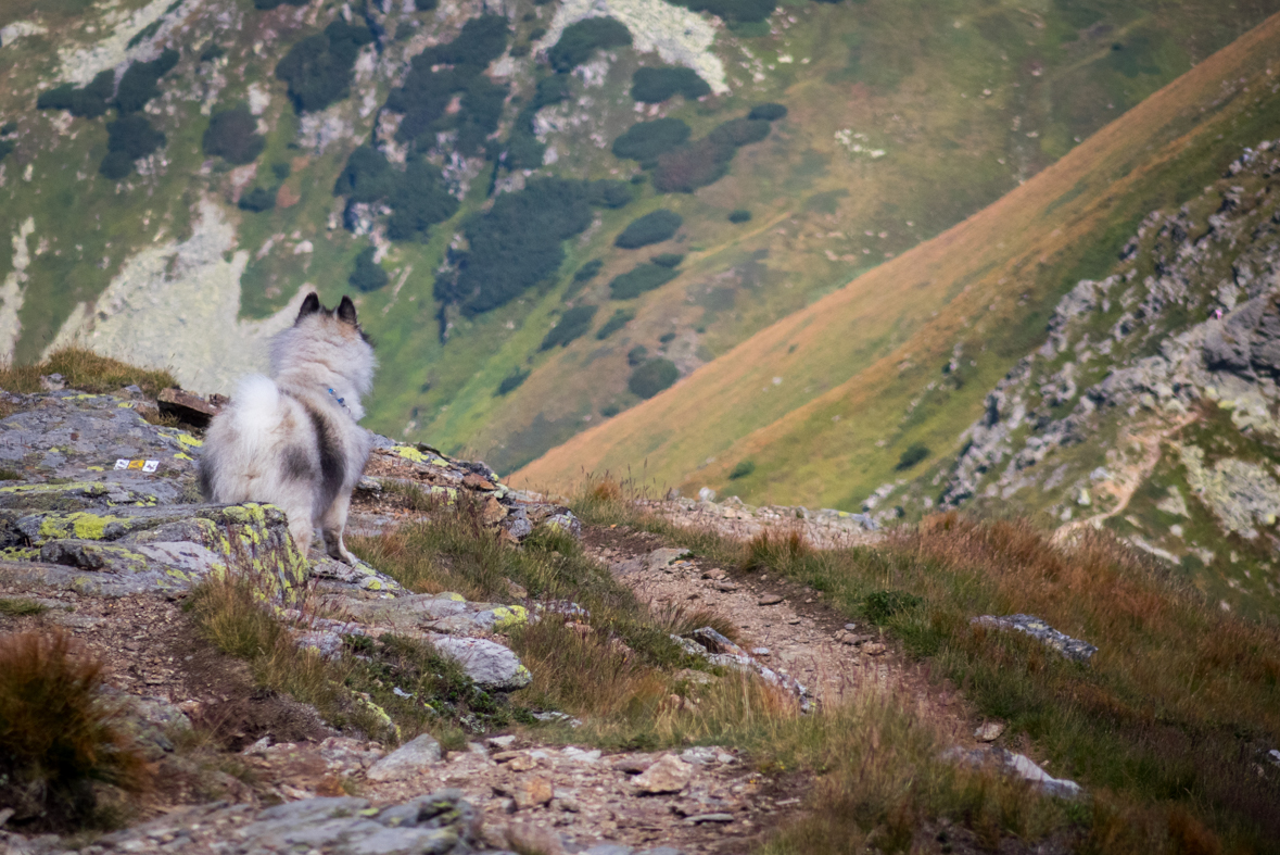 Baranec z Račkovej doliny, ATC (Západné Tatry)