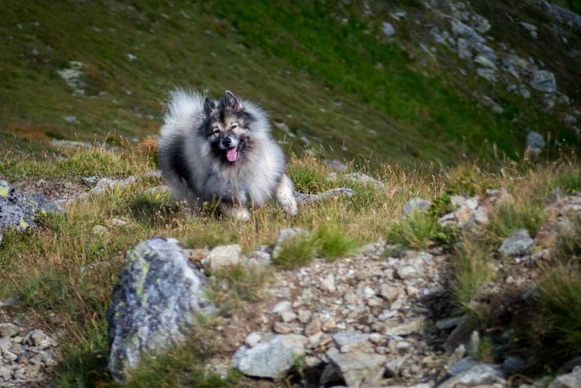 Baranec z Račkovej doliny, ATC (Západné Tatry)