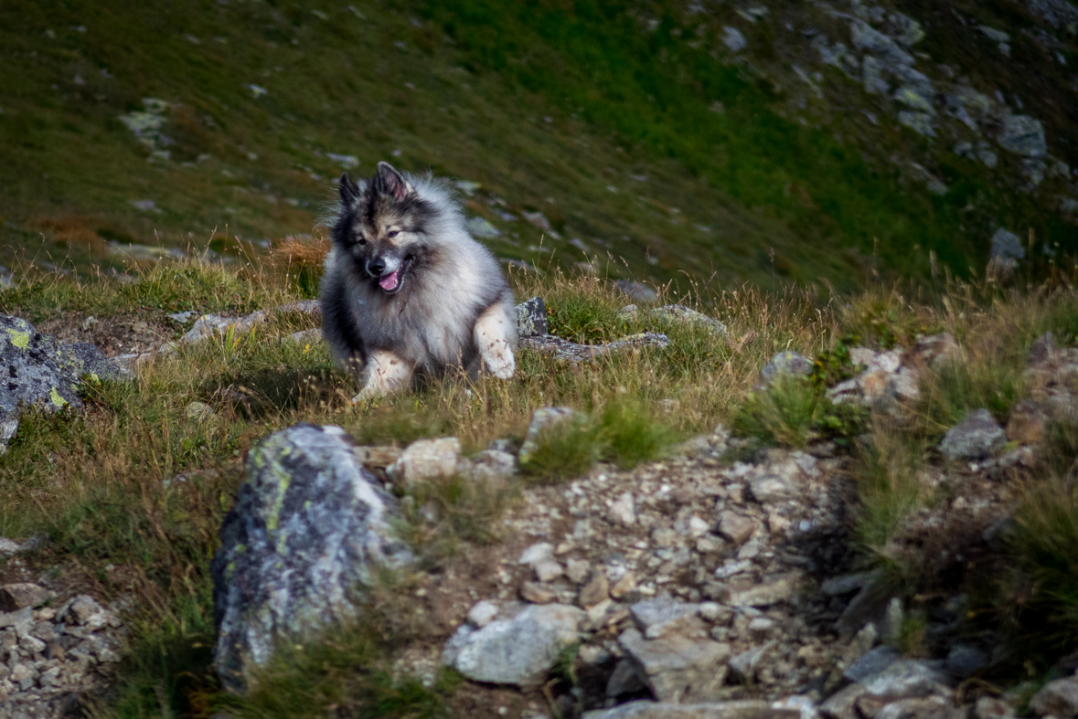 Baranec z Račkovej doliny, ATC (Západné Tatry)