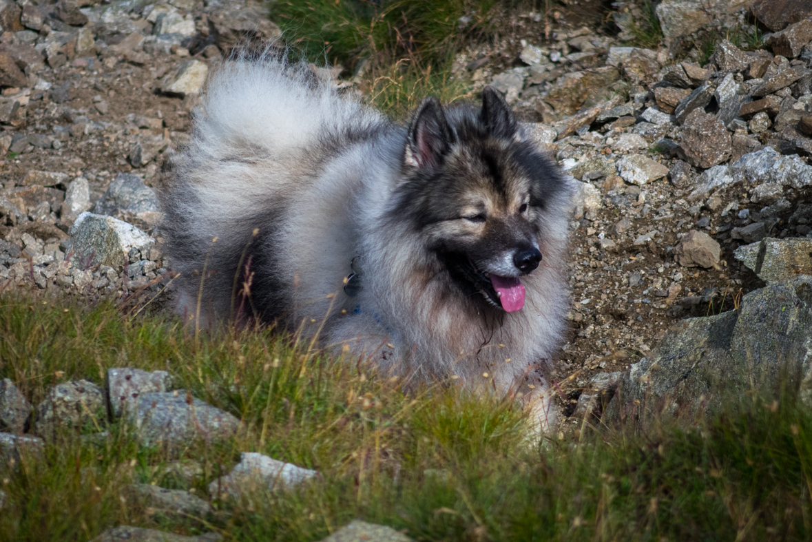 Baranec z Račkovej doliny, ATC (Západné Tatry)