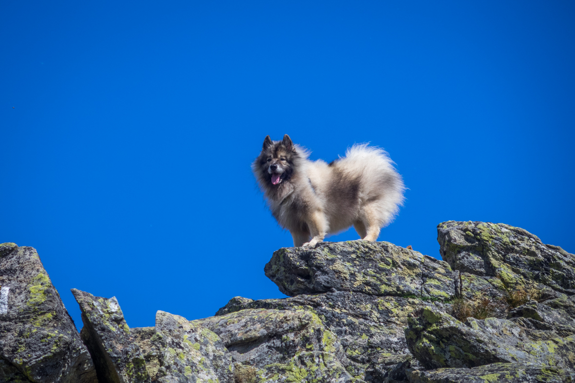 Baranec z Račkovej doliny, ATC (Západné Tatry)