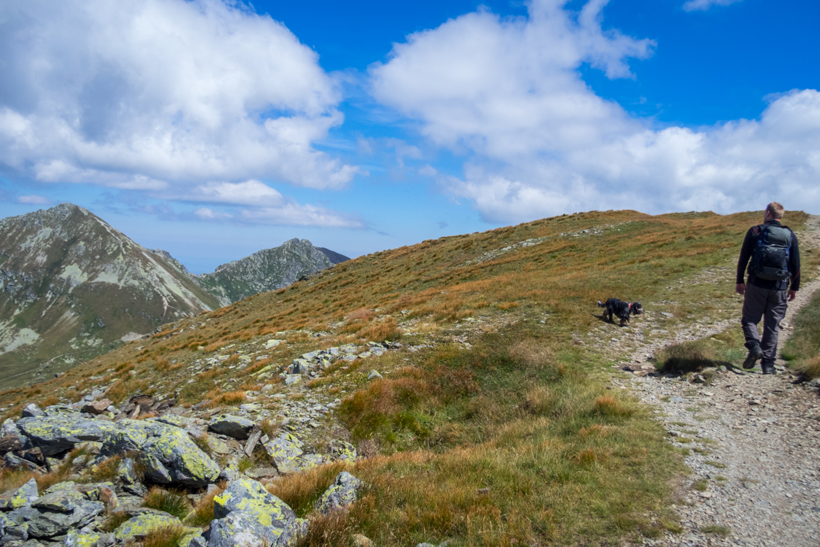 Baranec z Račkovej doliny, ATC (Západné Tatry)