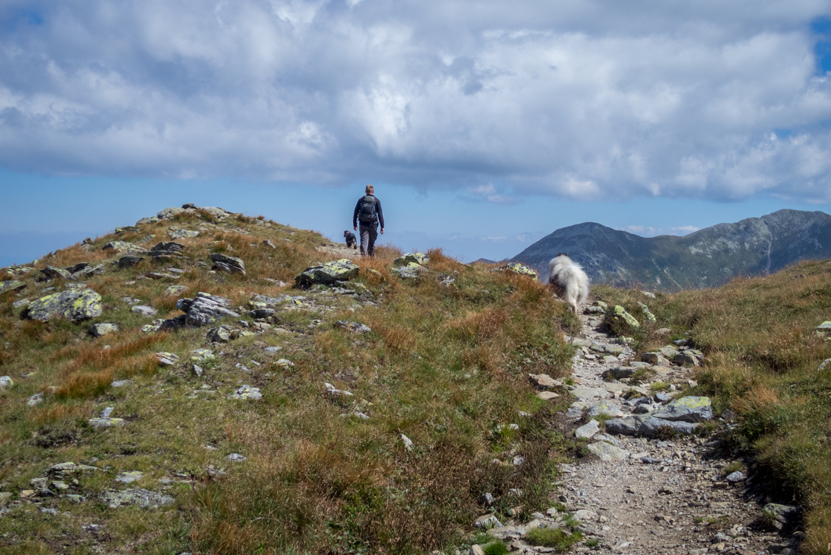 Baranec z Račkovej doliny, ATC (Západné Tatry)